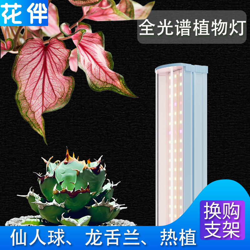 花伴绿植阳光灯植物生长灯热植补光灯仿模拟太阳光照全光谱室内灯
