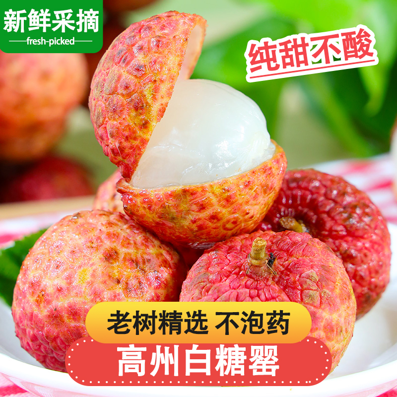 现货【明日达顺丰包邮】广东直采老树荔枝新鲜水果白糖罂0.5斤-5斤装