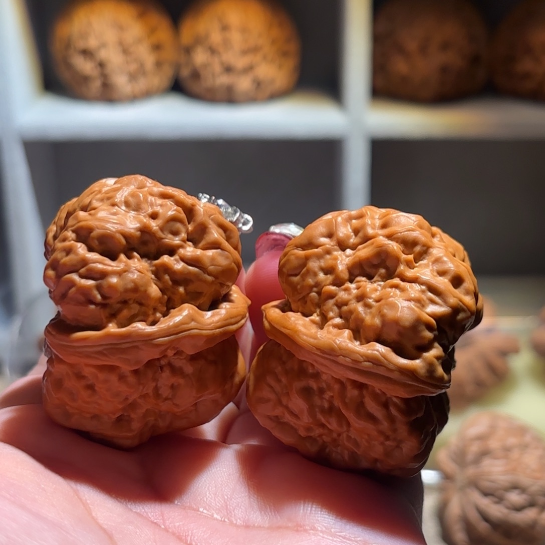 文***炮把件文玩核桃43边肚同尺白狮子