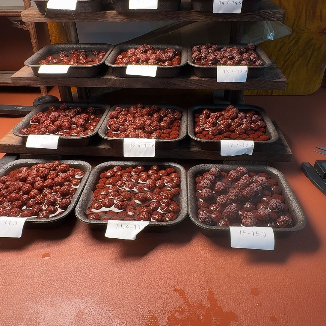 大***芒金刚菩提手串老树王手持15-50颗籽