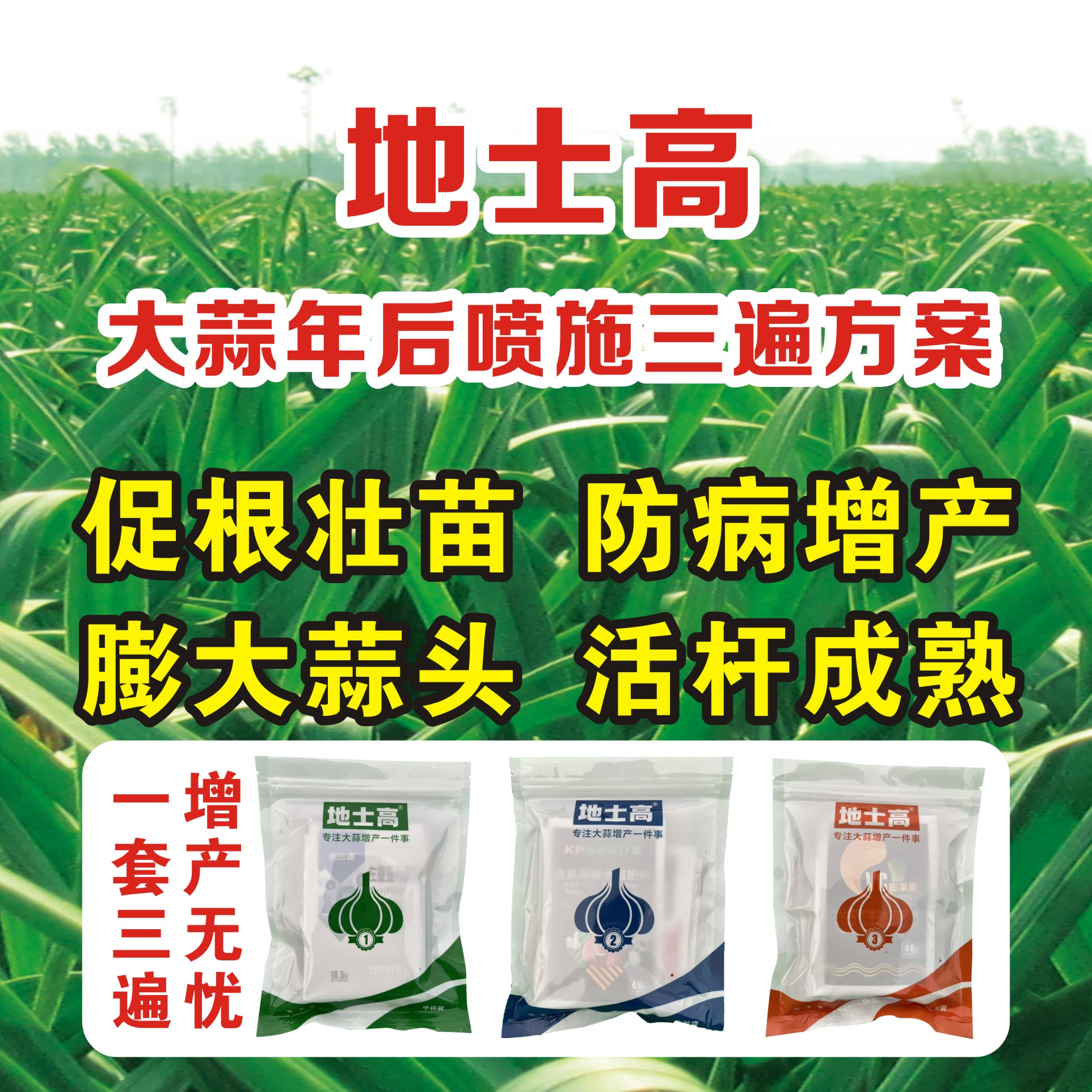 大蒜年后一亩三遍叶面喷施方案壮根提苗防病增产膨大蒜头活杆成熟
