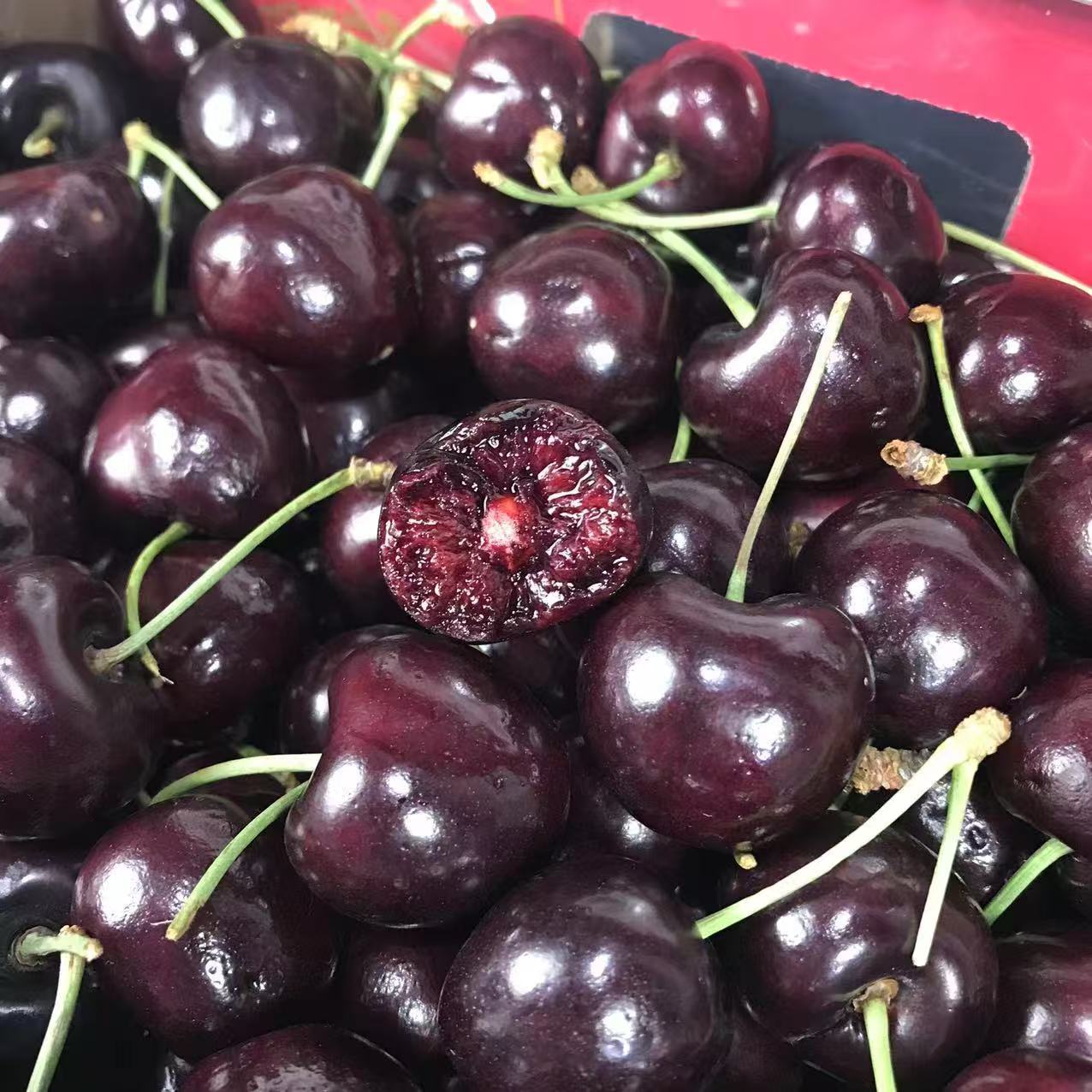 金都乐(3J)空运净重2斤5斤/内附果径卡（惠鲜水果）桑提娜樱桃智利共和国