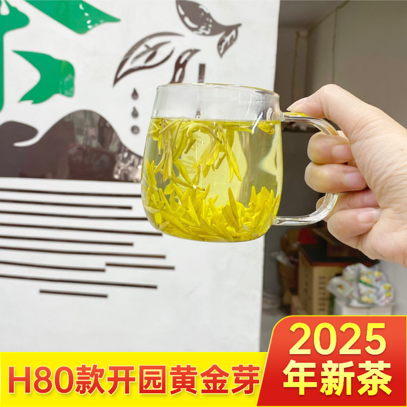 2025年新茶  H80款 安吉开园短肥芽高山黄金芽250g/500g