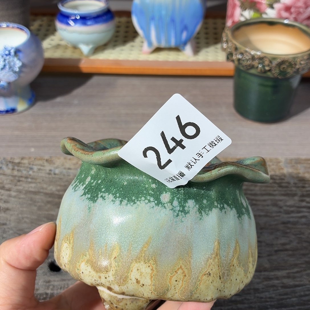 花盆花盆花盆花盆