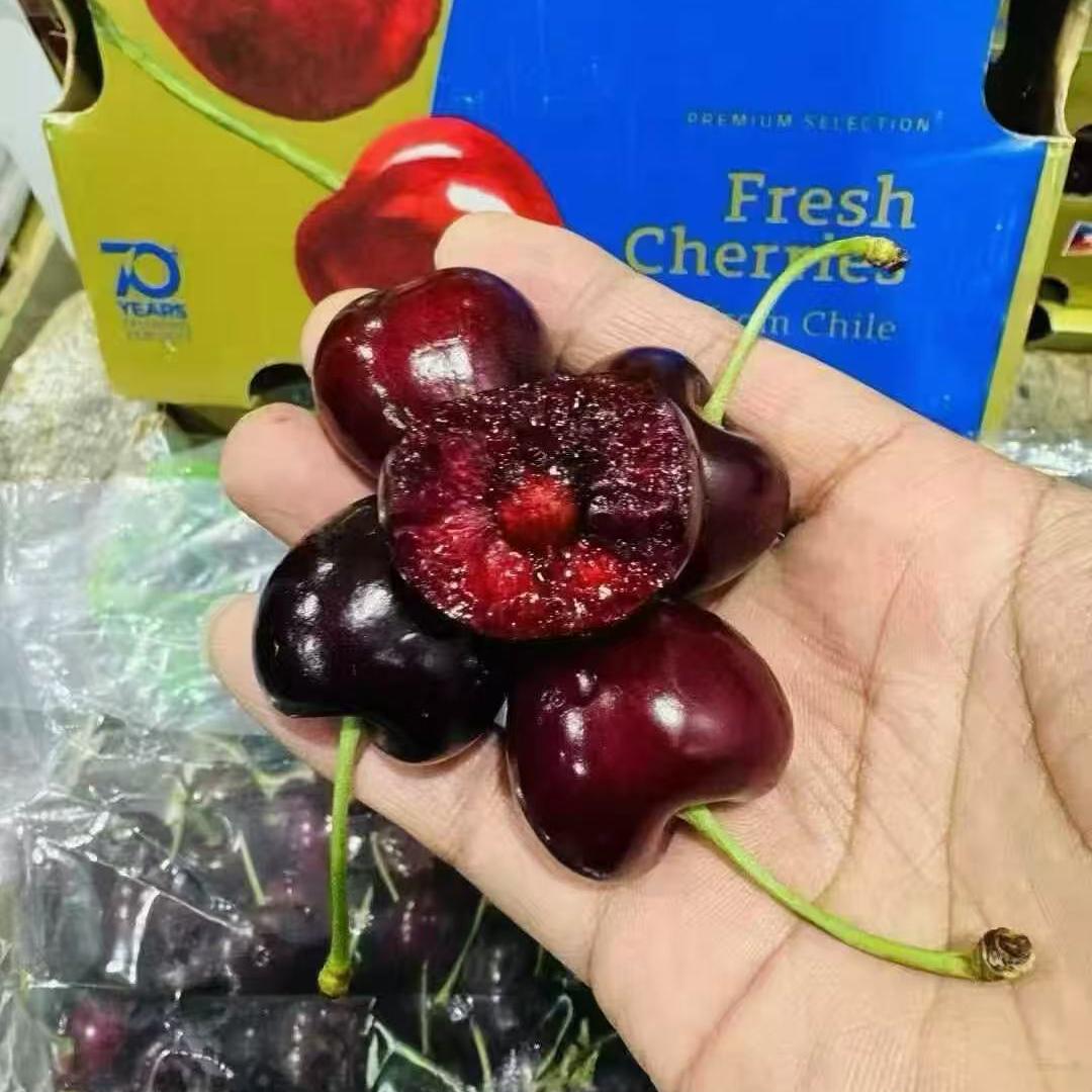 智利海运车厘子桑提娜J起到4J5斤净重超新鲜脆甜内附果径卡桑提娜樱桃智利共和国