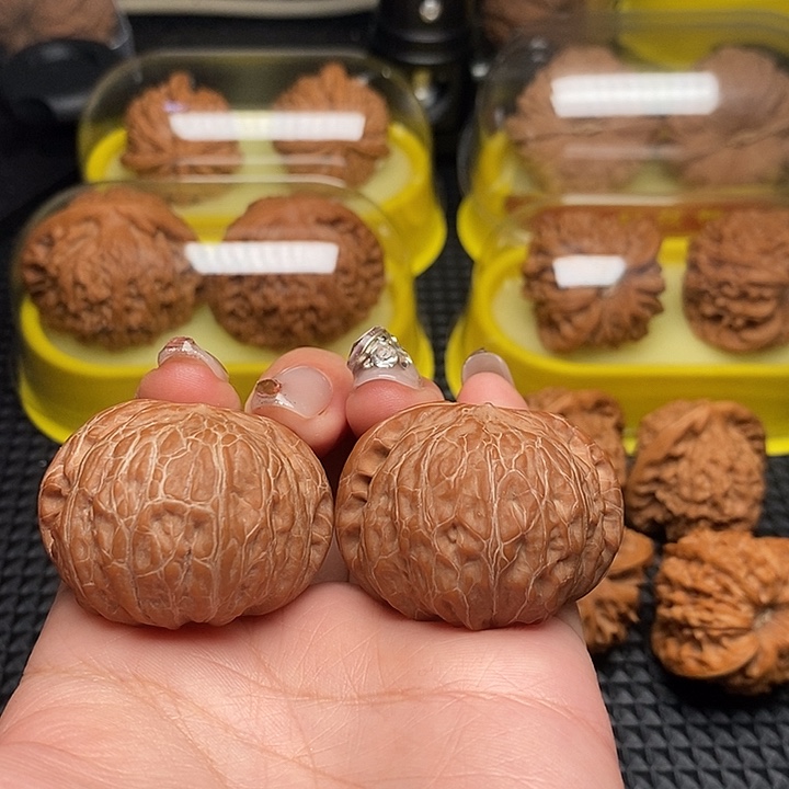 季***风41全品铁锤             