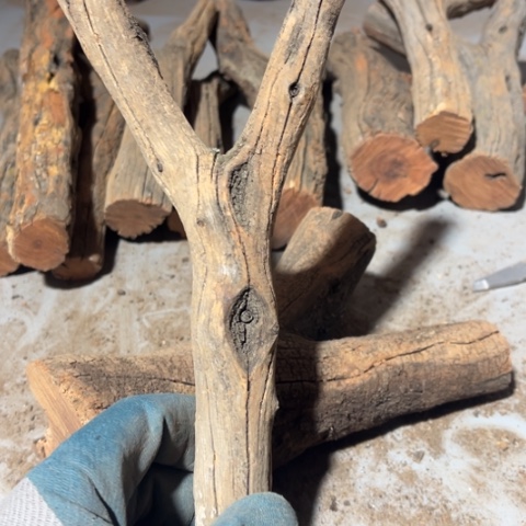 庆***年大果紫檀（缅甸花梨）