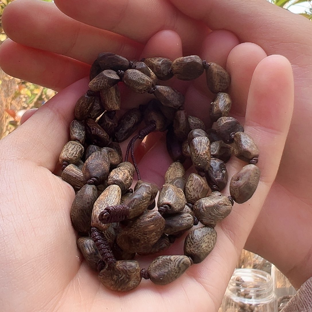 沉香手串沉水原母树张勺子多样性发货一条18克➕