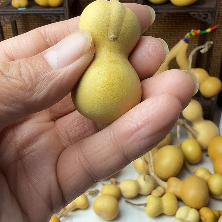 白***粥葫芦笙是个小妖精吧呜呜小