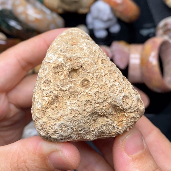 硅化珊瑚（珊瑚玉）手镯未镶嵌