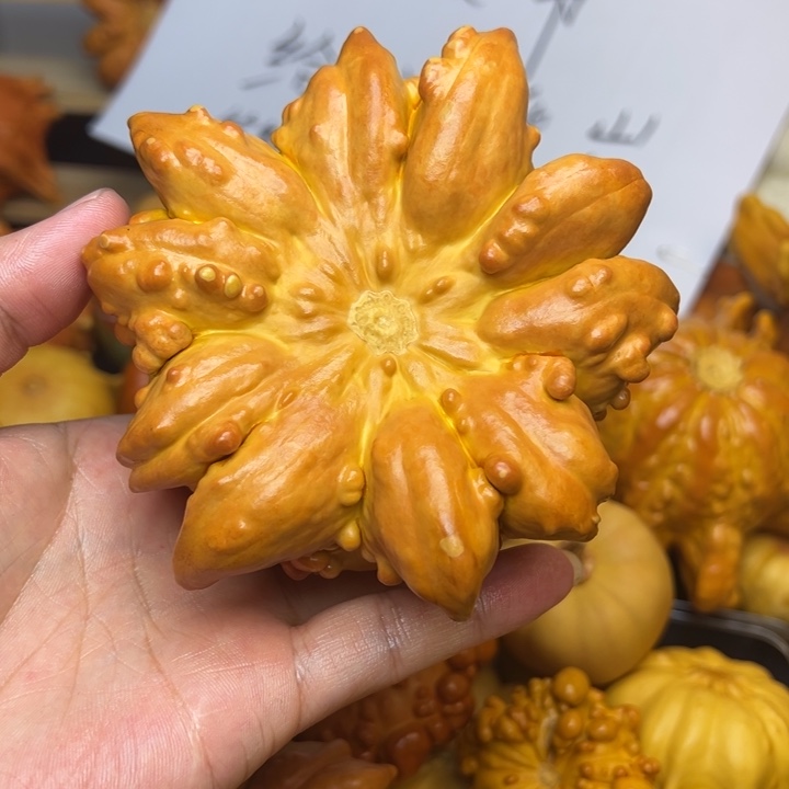 落**雪福利福利福利福利