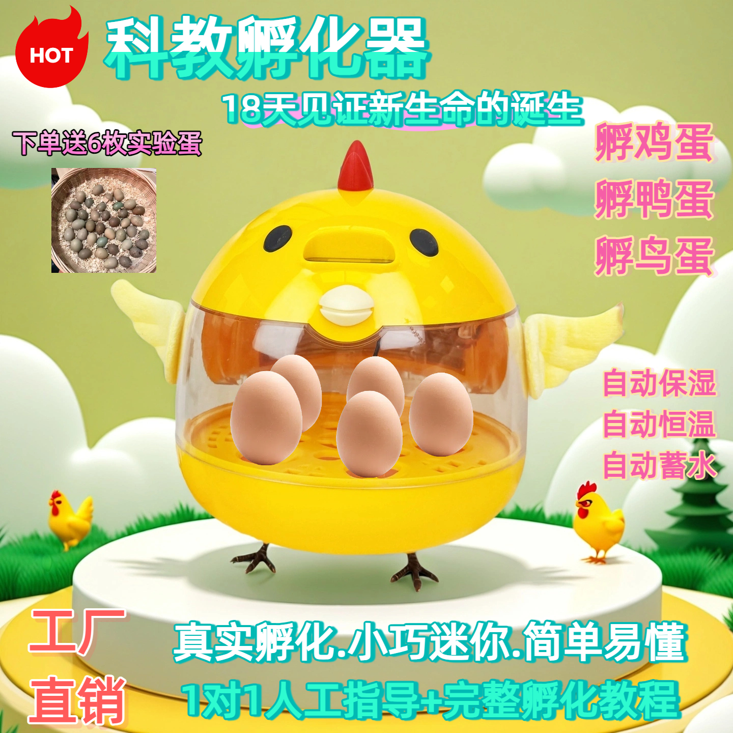 鹦鹉孵化器小鸡小鸭小巧迷你家用便携智能自动恒温保湿孵蛋器专用