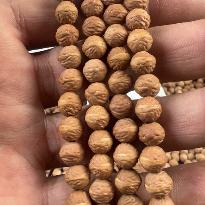 吊坠凤眼菩提文玩酸枣核