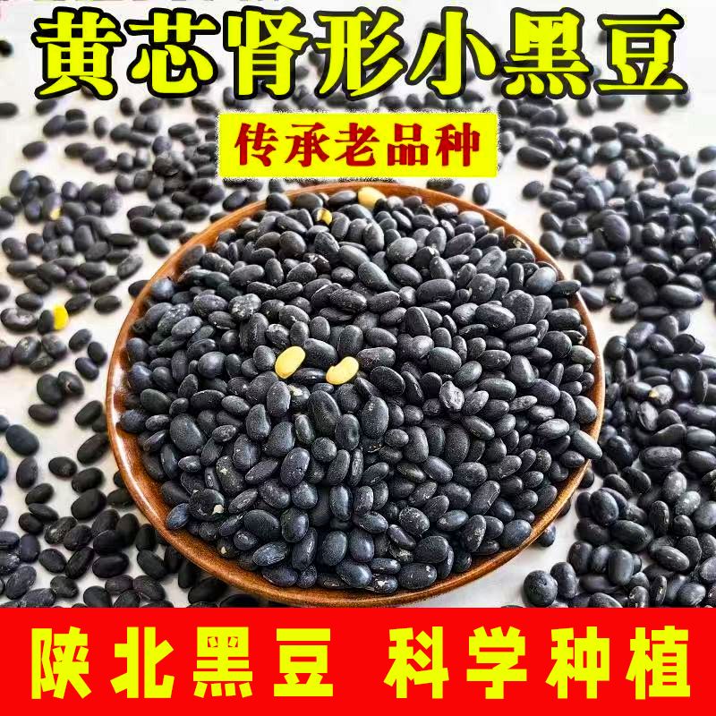 农家老品种肾形黄心小黑豆非基因改造打豆浆发豆芽专用黄芯黑豆
