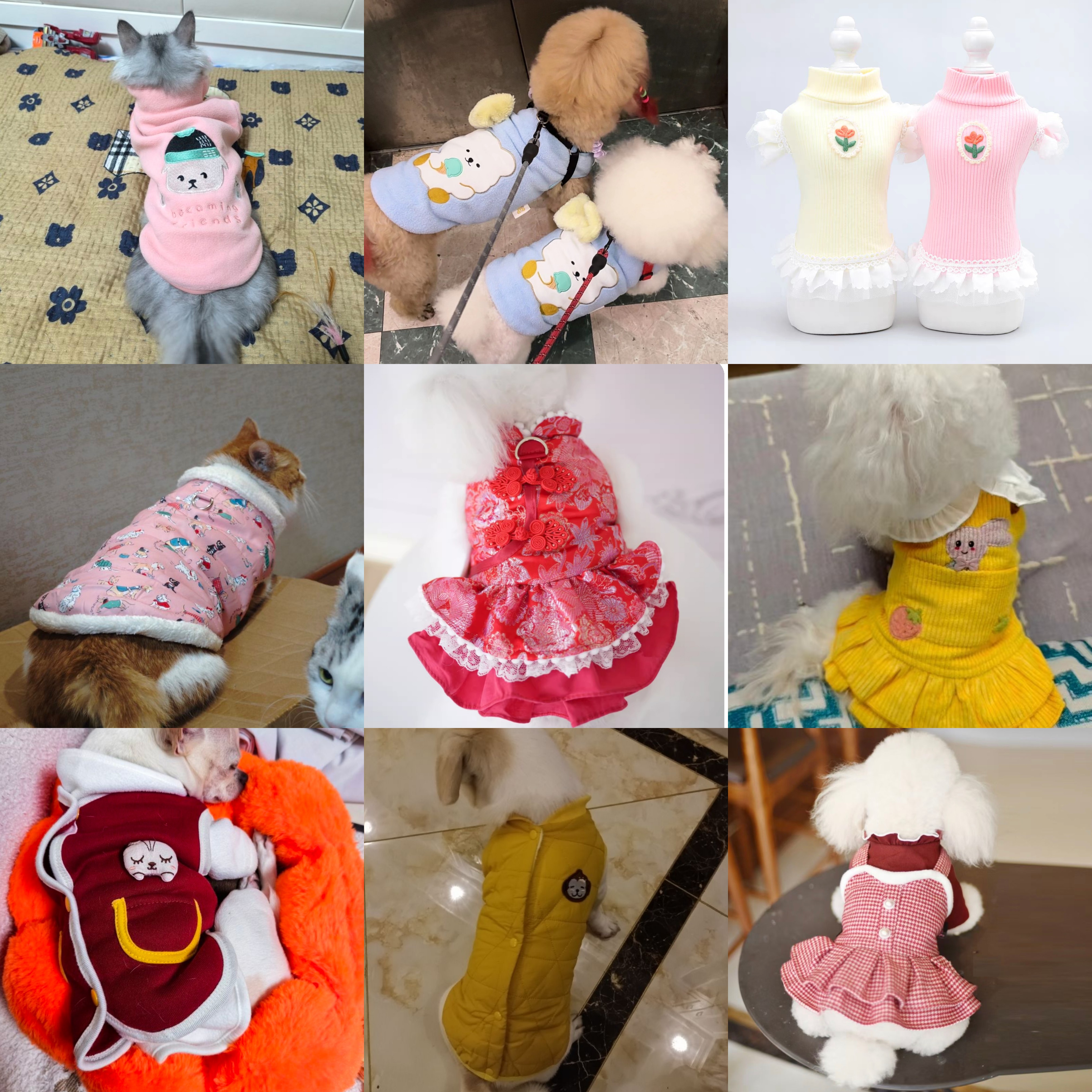 A01-A20宠物衣播服直专享