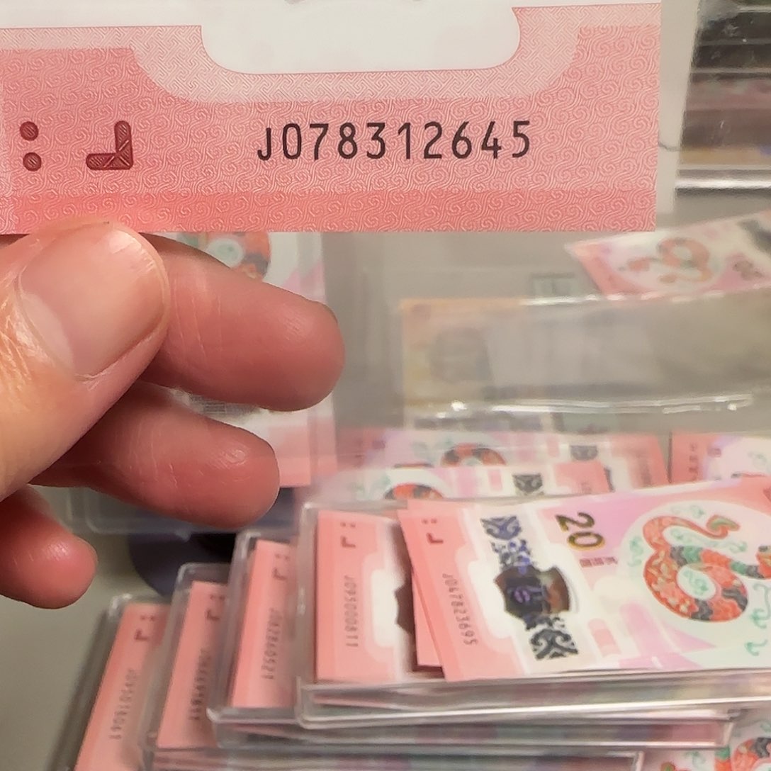 塑料蛇年纪念钞天龙号