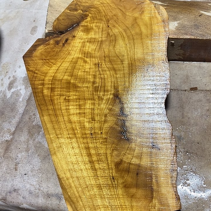 金丝楠木小叶桢楠木