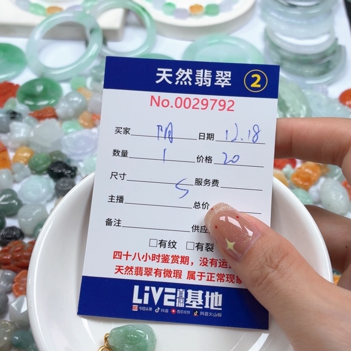 阳***春翡翠未镶嵌挂件Ty