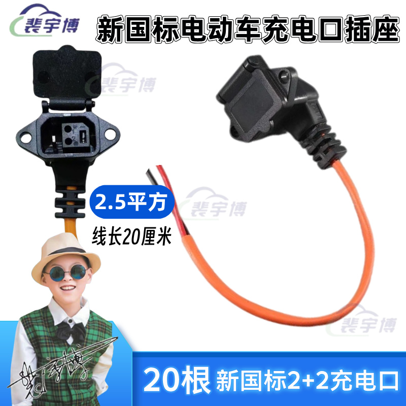 【20根】电动车新国标2+2充电口