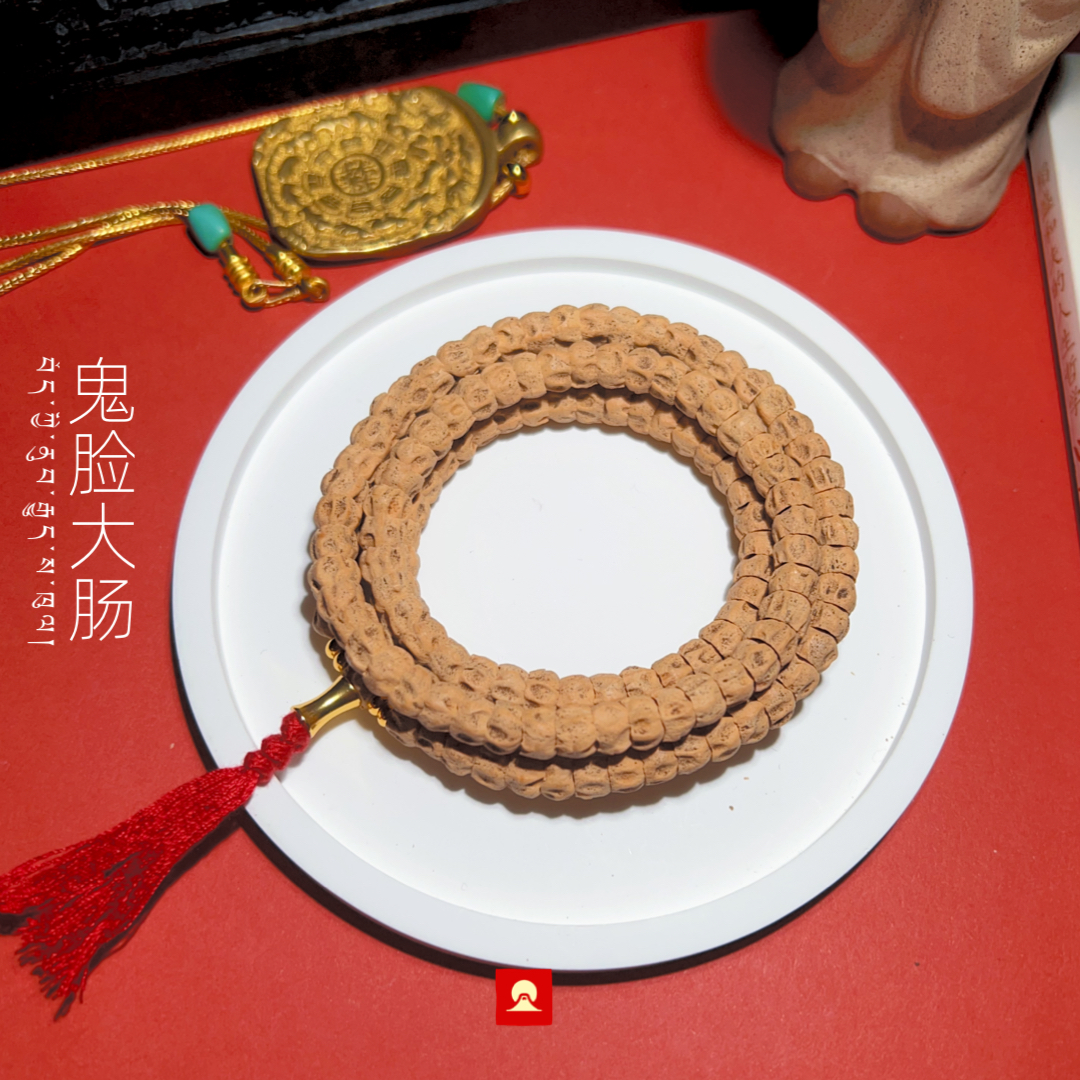 【鬼脸大肠】孤品柏香籽手串长串〔西藏热振〕