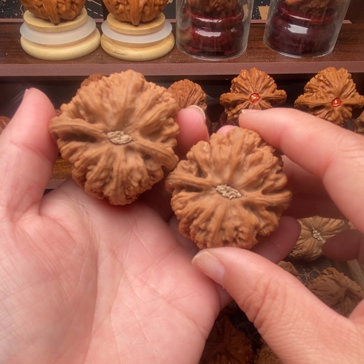 文玩核桃吊坠粗筋dhkdgjkkkk