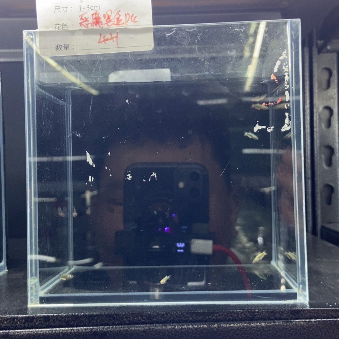 斗鱼包活不包损所见即所得080