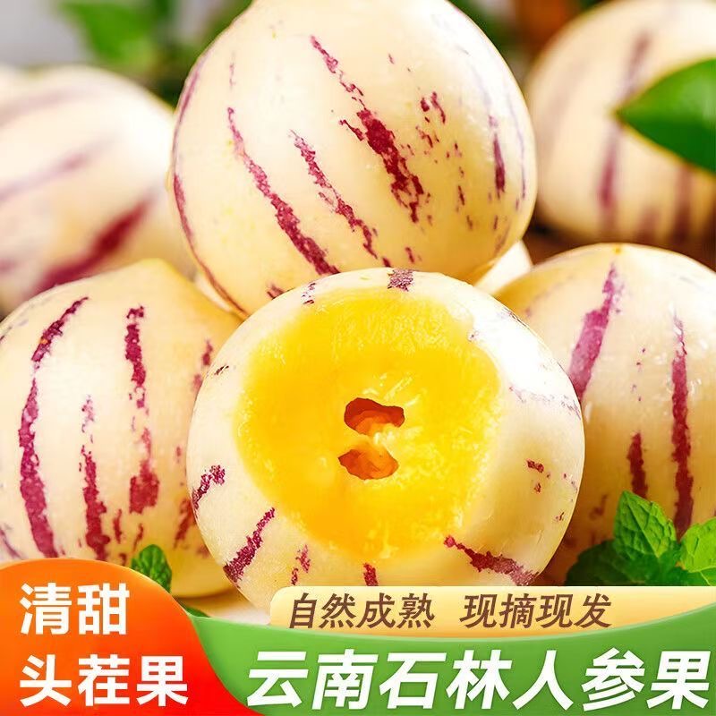 云南石林应季黄肉圆果果树上熟新鲜清甜水果