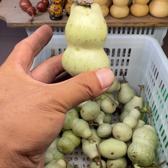 煜***尘葫芦葫芦笙和我一起看吧哈喽哈哈