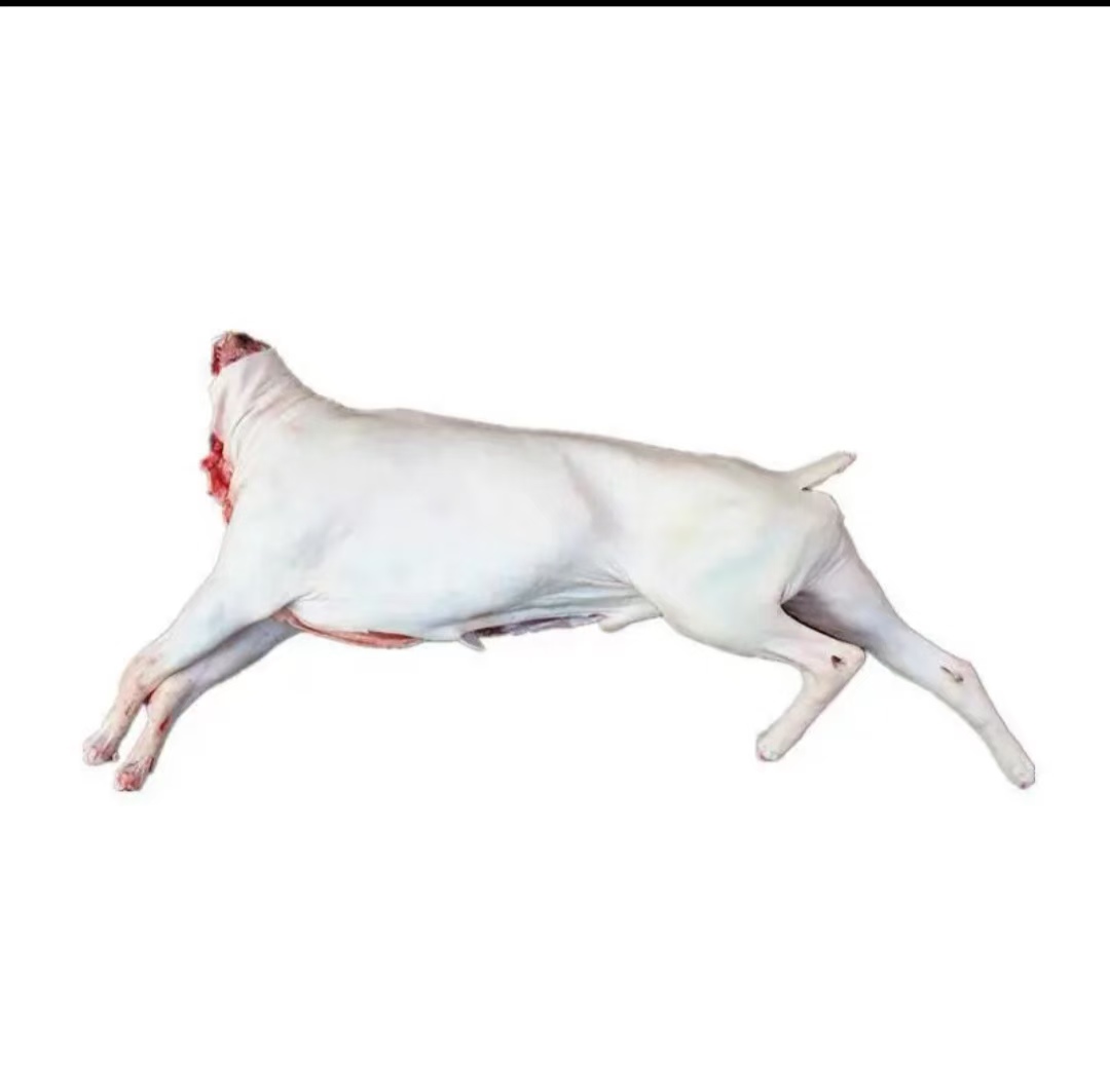 山羊整羊 整扇斤%腿排（直播间实际称重为准）