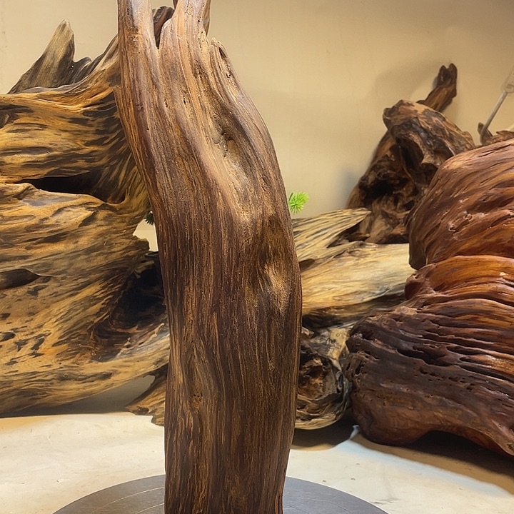 ༒***༒木直播间一物一拍