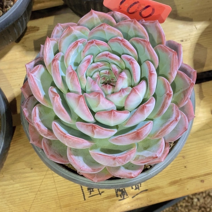 在家闲不住也可以轻松赚钱