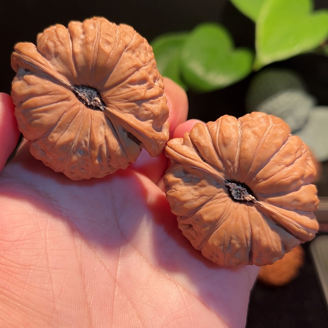 【闪购商品】文玩核桃把件45凹底南瓜墩全品