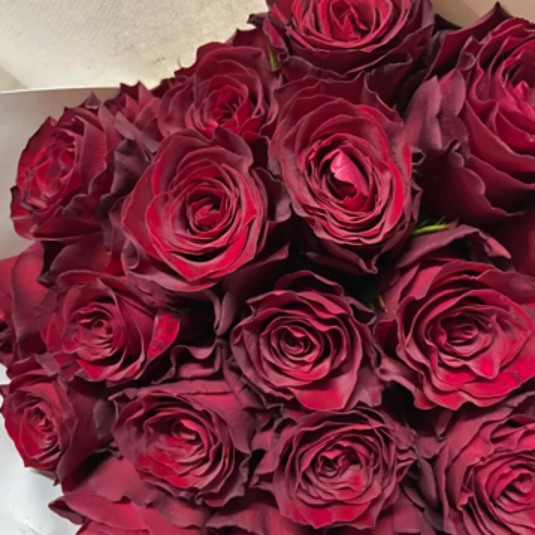 云南鲜花直发【高原红20枝】红玫瑰 丝绒质感十足 热烈浪漫 