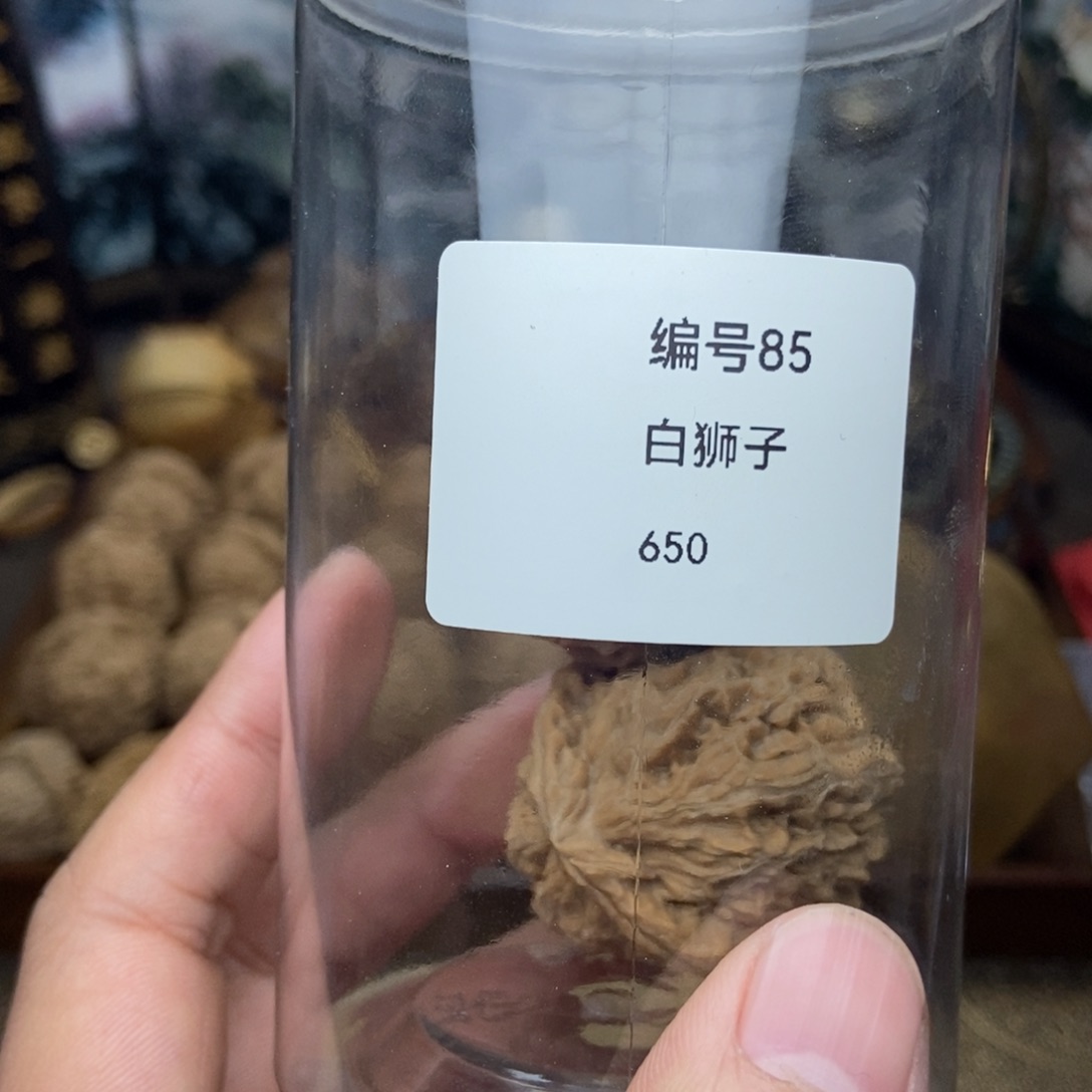 文玩核桃把件白狮子