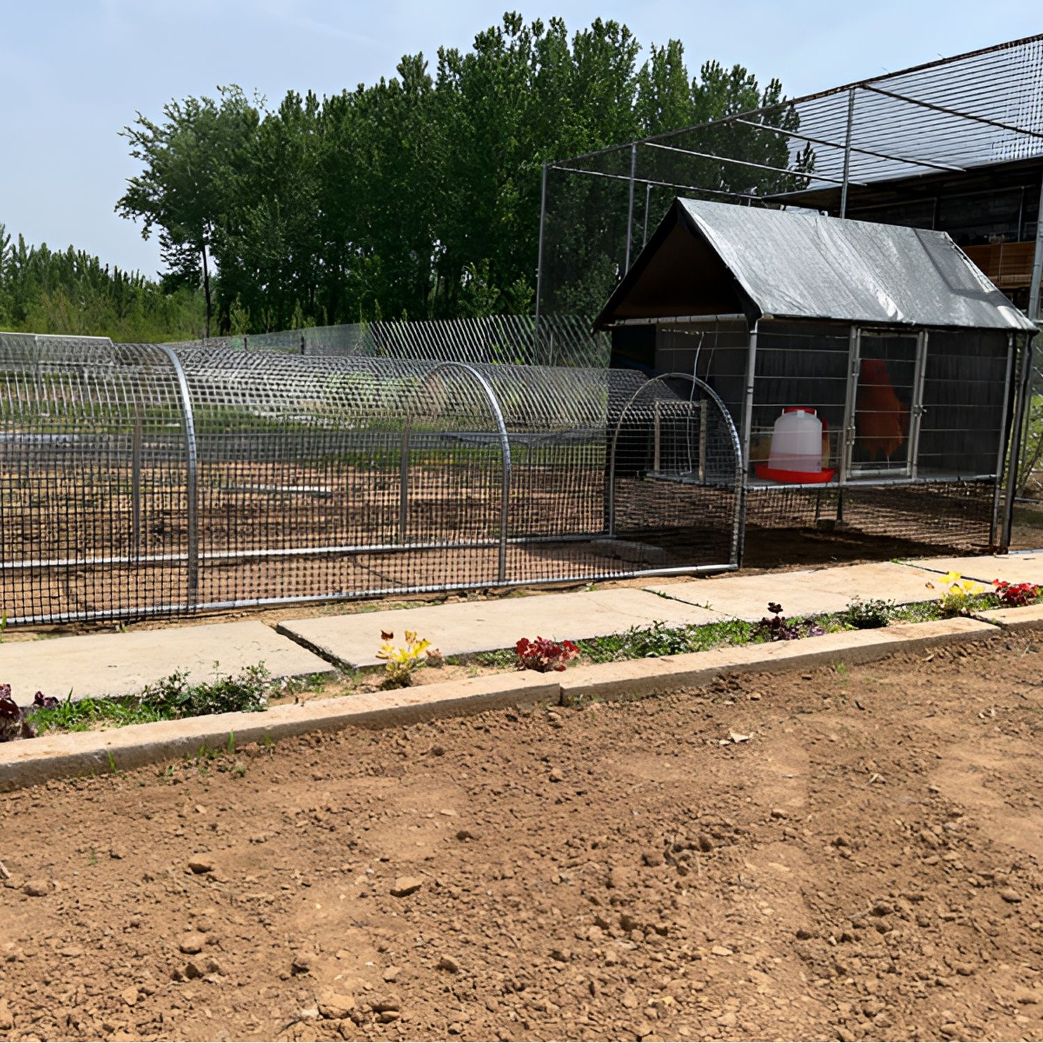 家禽养殖跑道室外鸡笼鸭笼鹅笼兔笼防雨笼子搭建简易鸡舍养殖棚