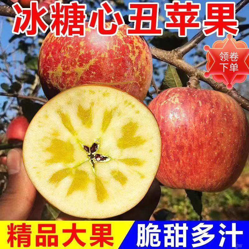 云南昭通苹果正宗冰糖心丑水果现摘直发脆甜多汁应季水果九甜一酸