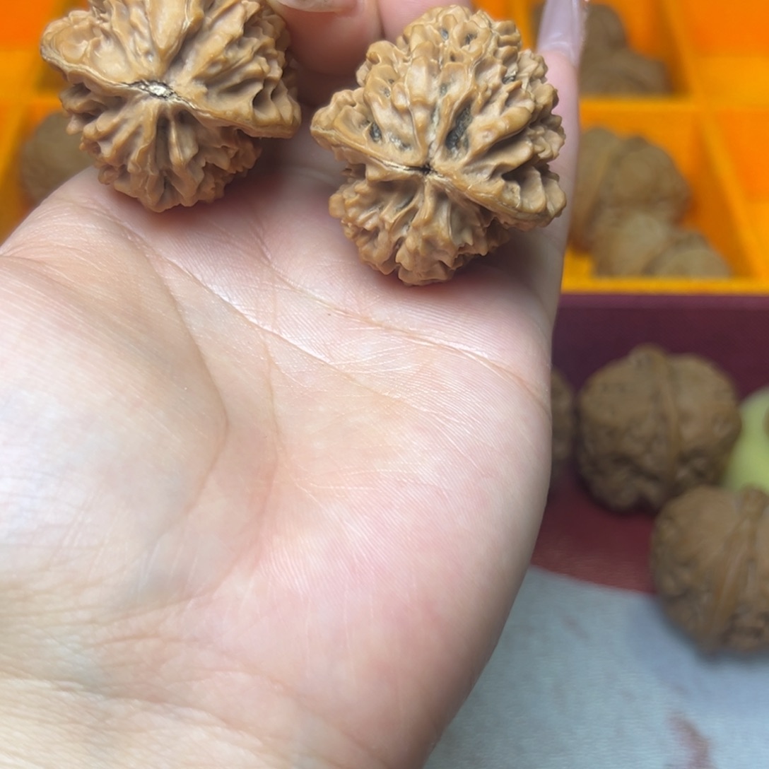 大叶紫檀（黑酸枝木类）招财鼠招财鼠