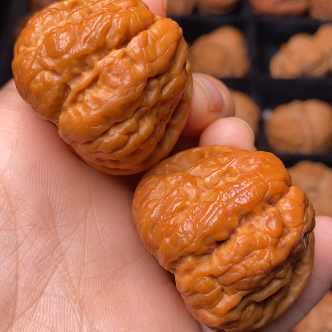 文玩核桃把件秦岭野生核桃