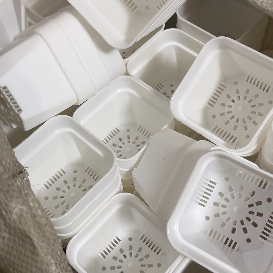 中厚口8高7白盆20个无托