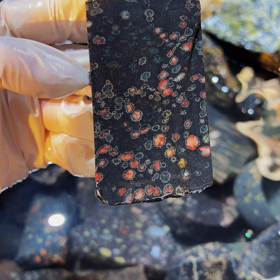 梅花玉鱼缸石茶周边微瑕不退不换