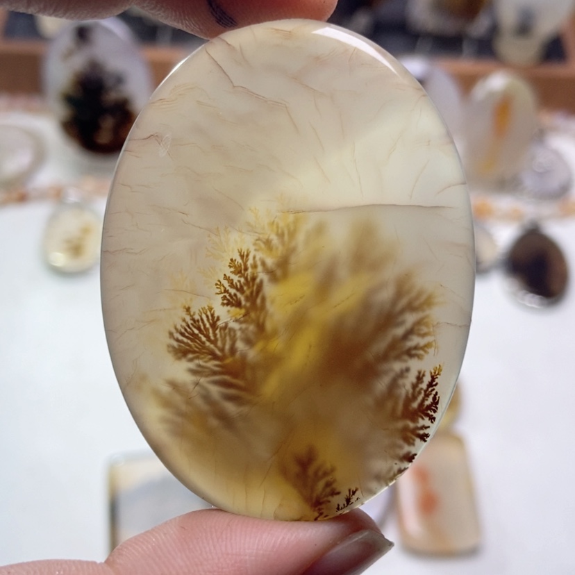 【闪购商品】玛瑙/玉髓颈饰未镶嵌