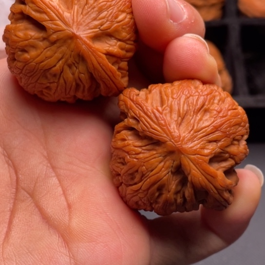文玩核桃把件秦岭山脉核桃