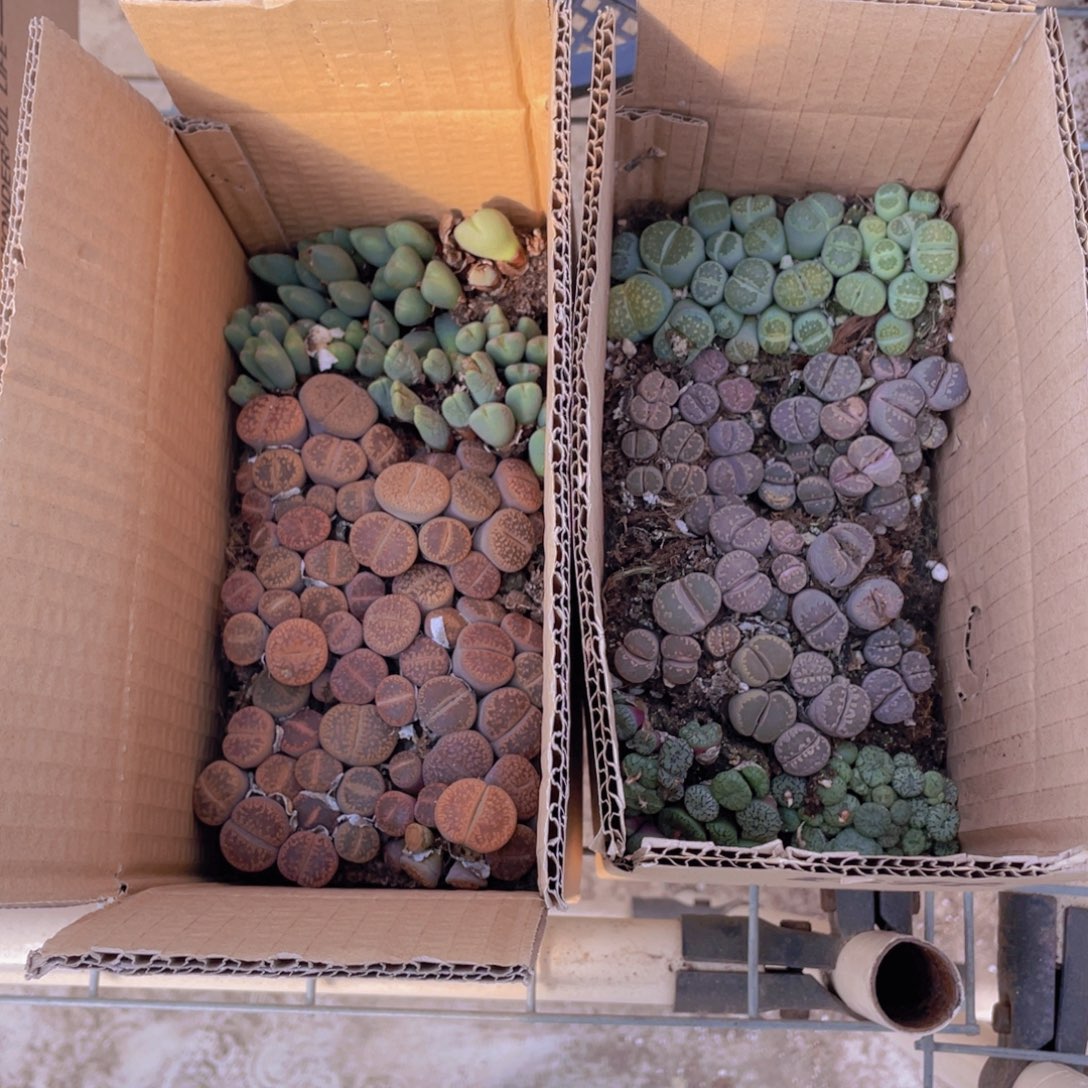 一箱拼箱88888888888