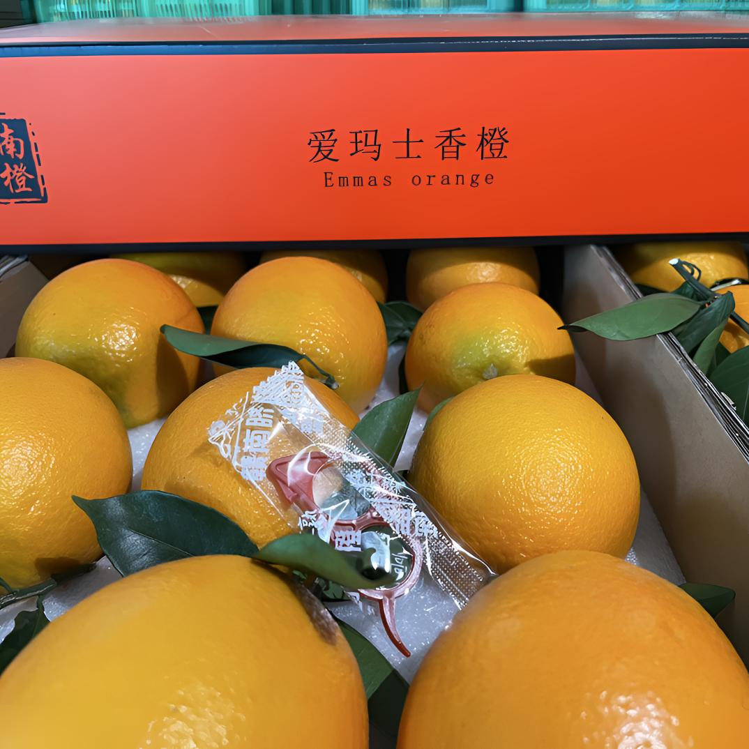 赣南脐橙高档礼盒装当季新鲜水果皮薄多汁产地直发江西赣南橙子