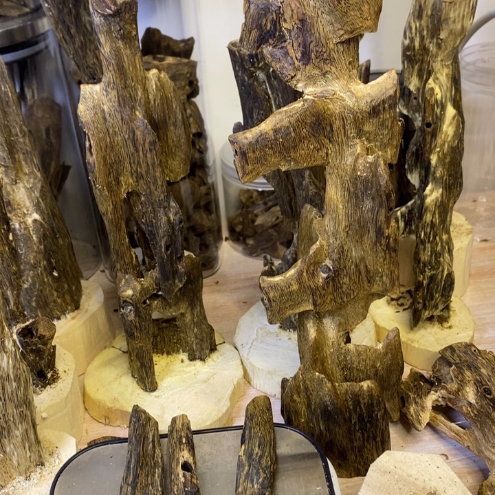 棋楠沉香香香香香