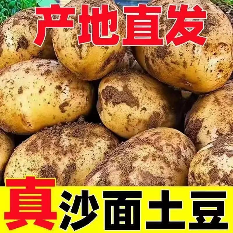2025新鲜黄皮土豆沙糯粉面开花的黄皮黄心新鲜土豆当季蔬菜