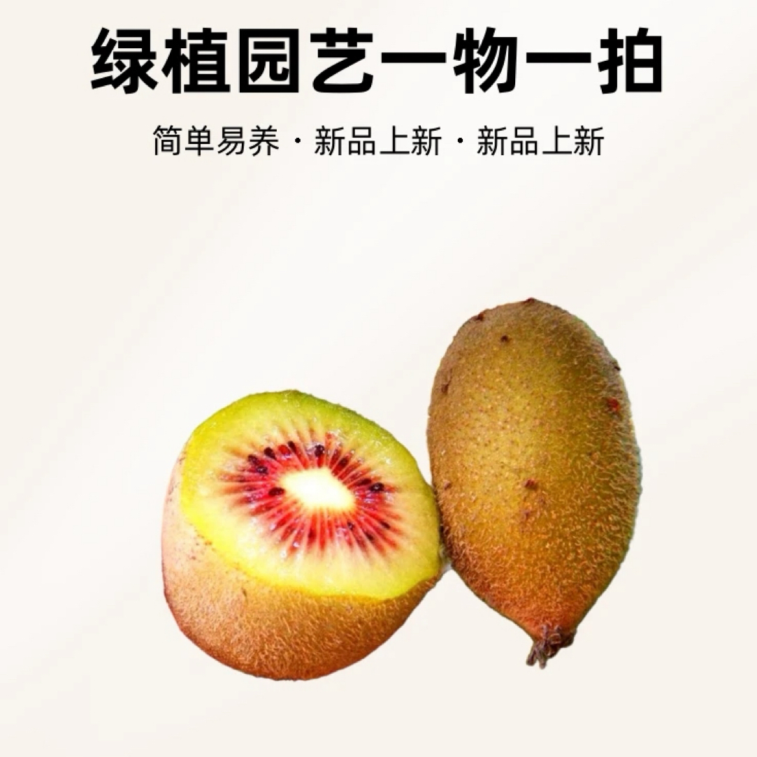 花卉绿植 南北方种植  