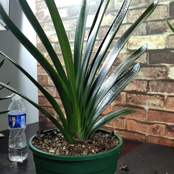 完全开放1111111111