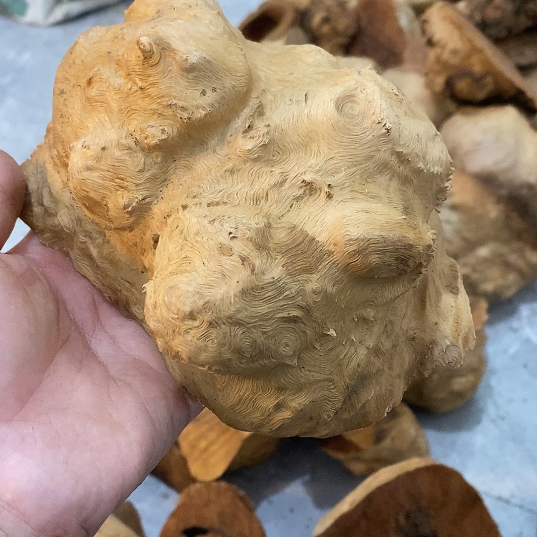 3***治荔枝木荔枝木原料