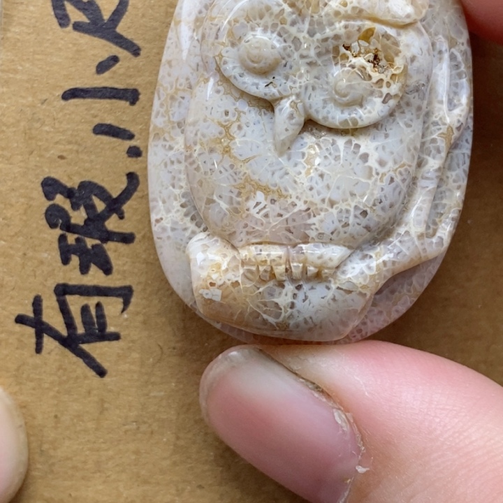 颈饰未镶嵌硅化珊瑚（珊瑚玉）